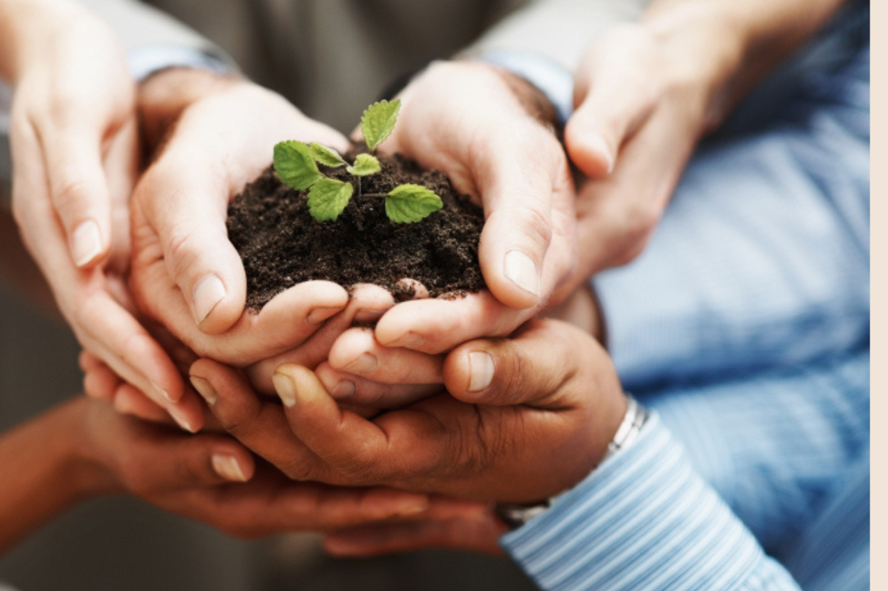 Society Registration