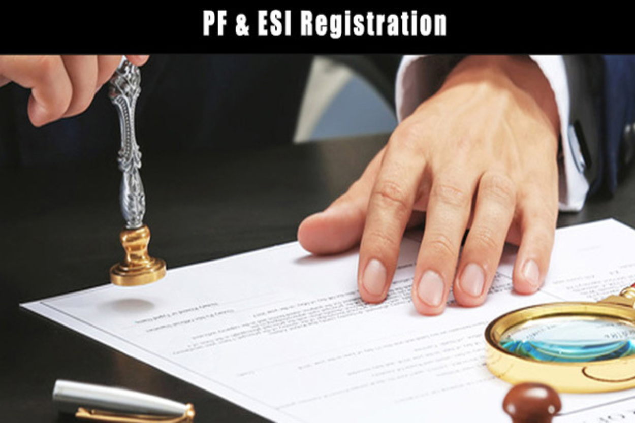 Profi PF & Provi ESI